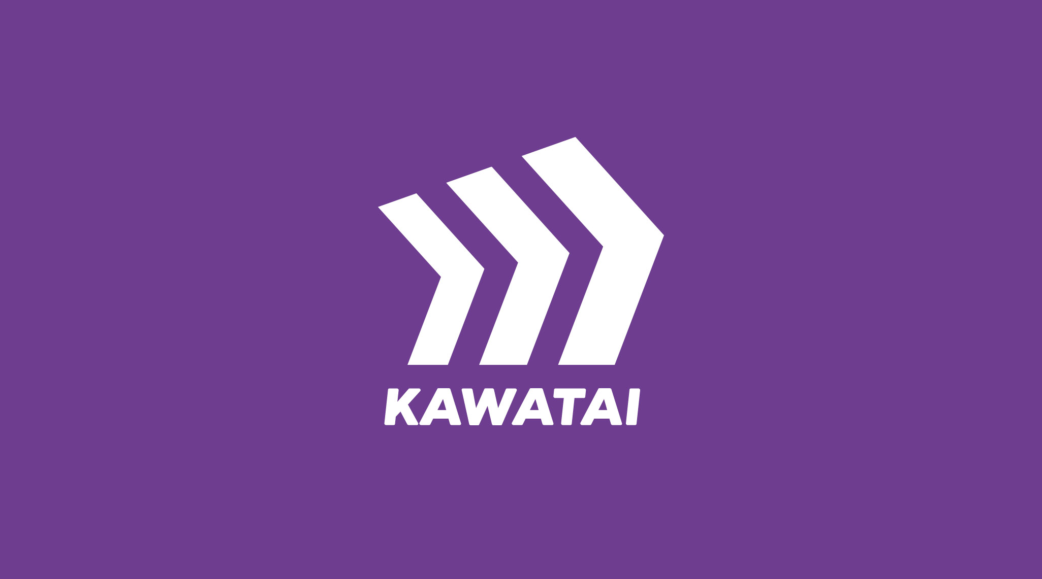 川崎大正建機の制作事例